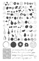 Fruit Cocktail Collection – Tropical Sensation (CjS-211) Large Steel Stamping Plate