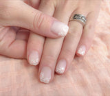 Spring Daisy (CjS-194) Large Steel Stamping Plate