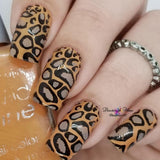 Texture Essentials – Wild Kingdom (CjS-77) Large Steel Stamping Plate